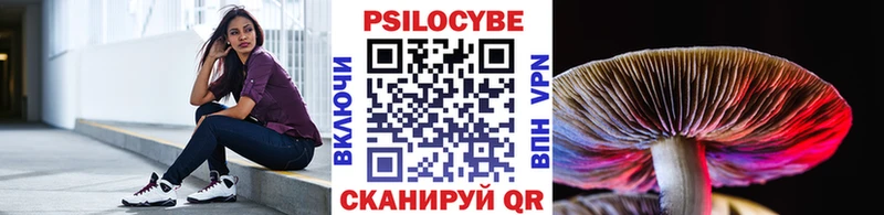 Псилоцибиновые грибы Psilocybine cubensis  Купить закладки  Березники 